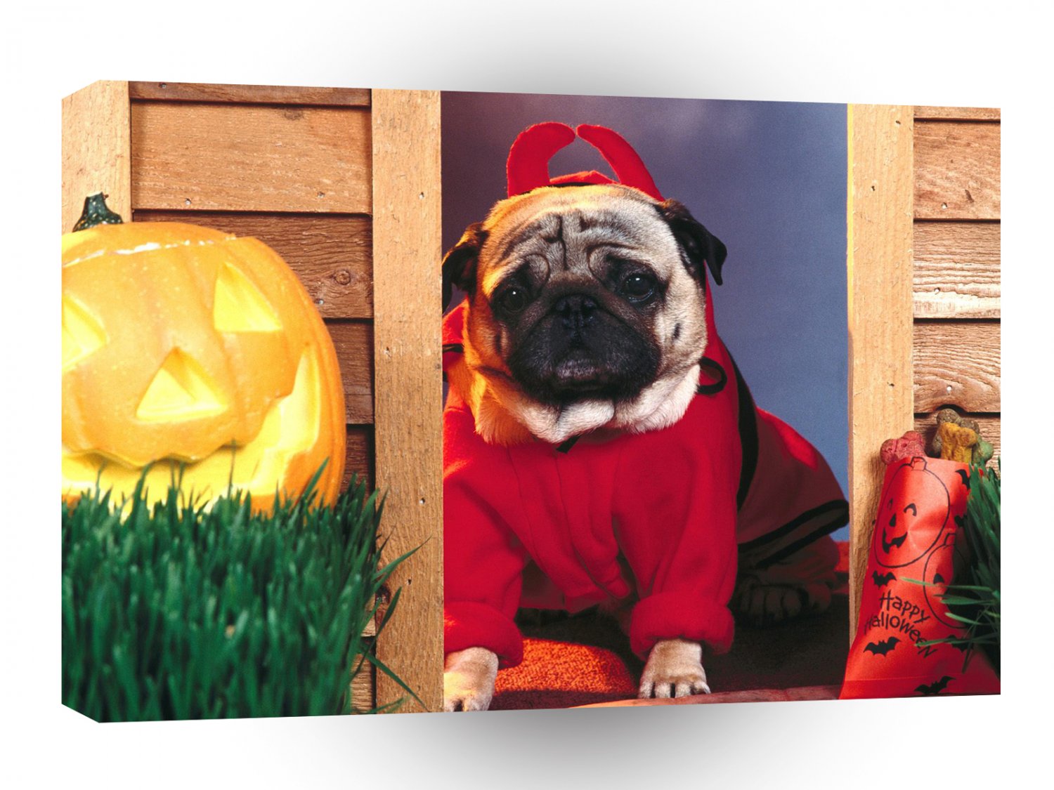 Halloween Little Devil A1 Xlarge Canvas