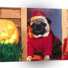 Halloween Little Devil A1 Xlarge Canvas