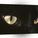 Halloween Mystic A1 Xlarge Canvas
