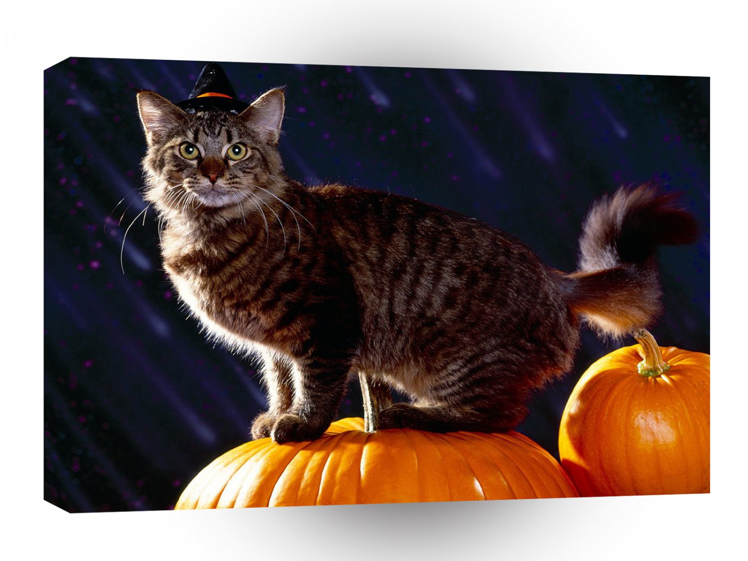 Halloween The Witchs Cat A1 Xlarge Canvas