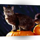Halloween The Witchs Cat A1 Xlarge Canvas