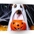 Halloween Trick Or Treater A1 Xlarge Canvas