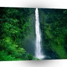 Hawaii Akaka Falls Big Island A1 Xlarge Canvas
