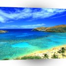 Hawaii Hanauma Bay Oahu Hawaii Beach A1 Xlarge Canvas
