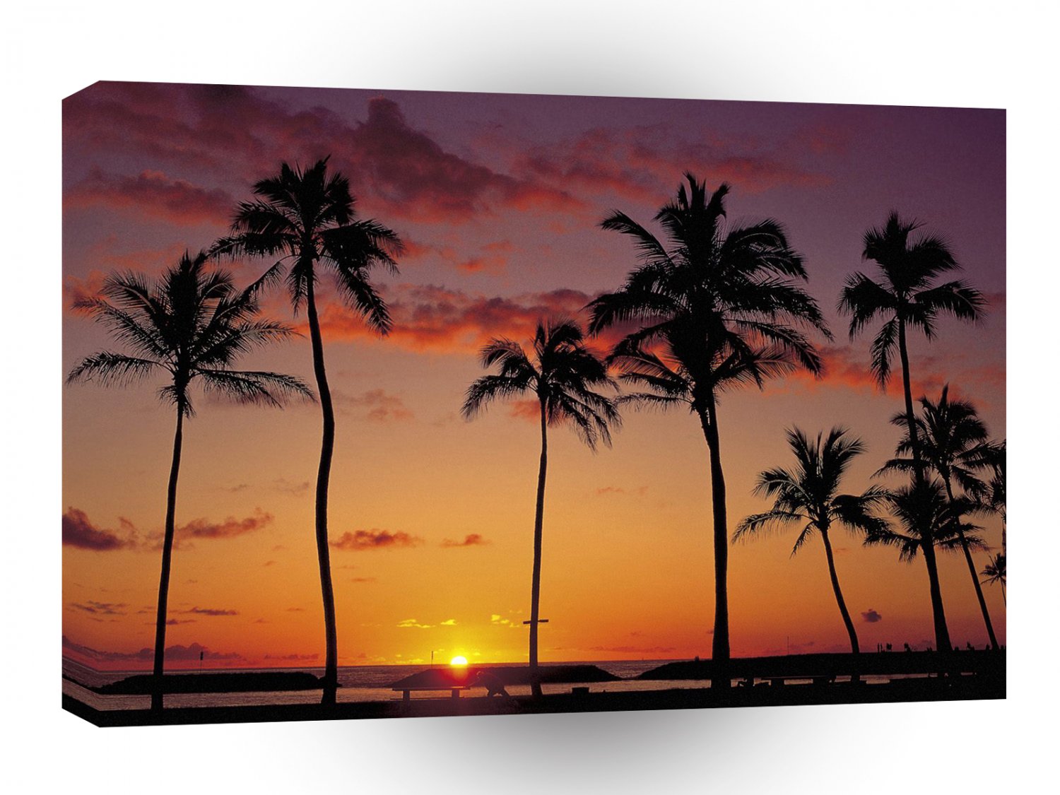 Hawaii Honolulu Oahu A1 Xlarge Canvas