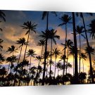Hawaii Kauai Palms A1 Xlarge Canvas