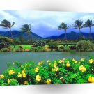 Hawaii Maui Tropical Plantation A1 Xlarge Canvas