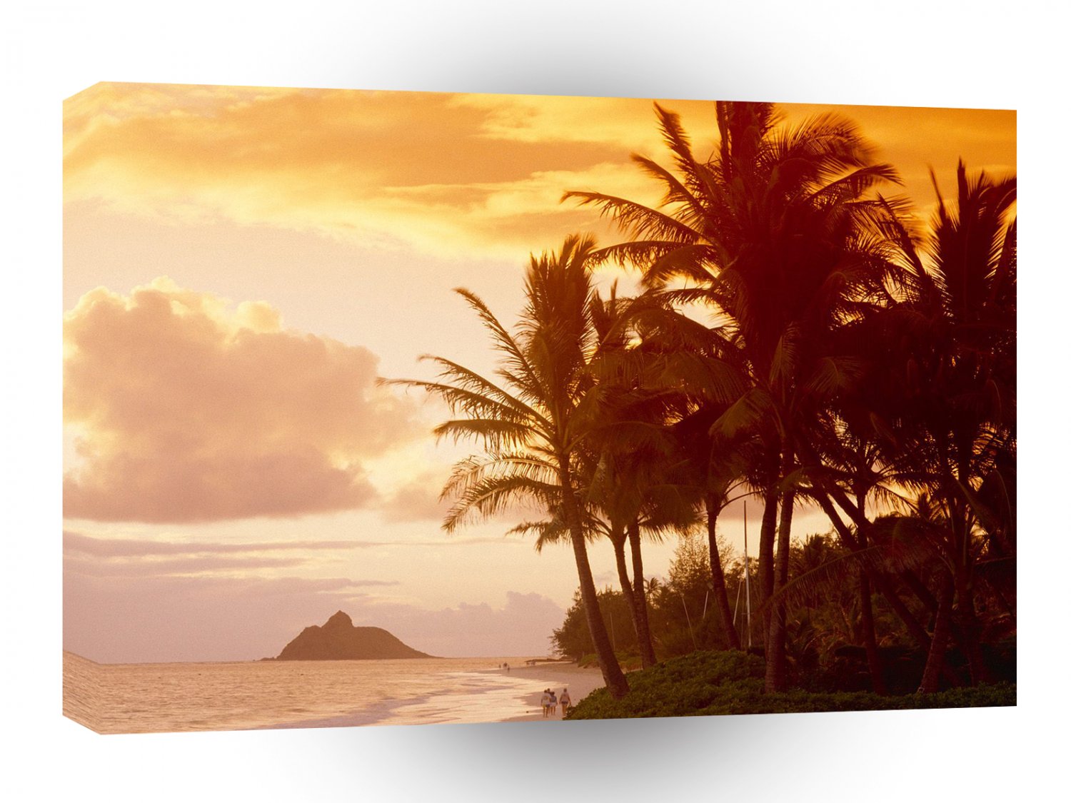 Hawaii Sunset Palms A1 Xlarge Canvas