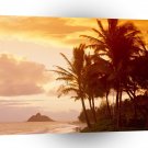 Hawaii Sunset Palms A1 Xlarge Canvas