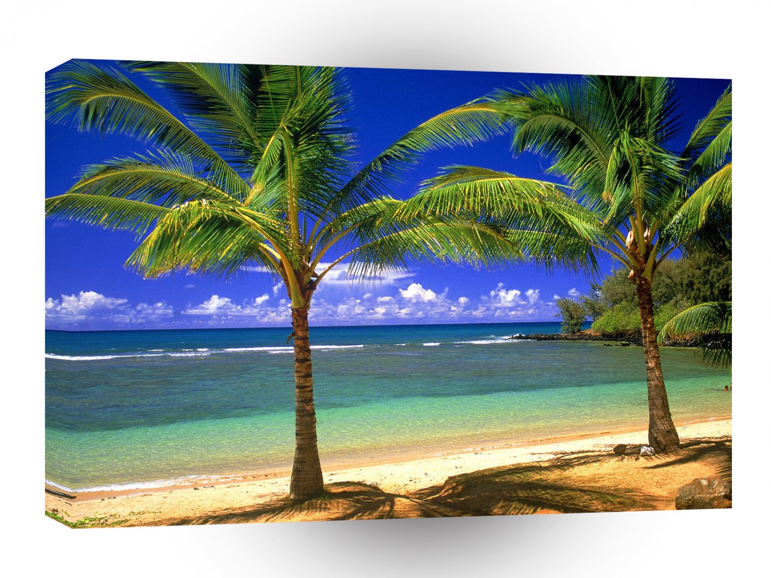 Hawaii Tropical Lagoon A1 Xlarge Canvas