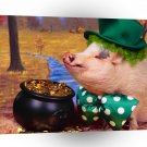 Ireland Leprehog A1 Xlarge Canvas