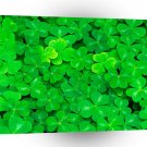 Ireland Lots O Luck A1 Xlarge Canvas