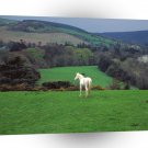 Ireland Wicklow Countryside Near Powerscourt Castle A1 Xlarge Canvas