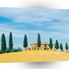 Italy Golden Hillside Tuscany A1 Xlarge Canvas