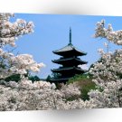 Japan Cherry Blossoms Ninna Ji Temple Grounds Kyoto A1 Xlarge Canvas