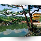 Japan Kinkaku Ji Temple Kyoto A1 Xlarge Canvas