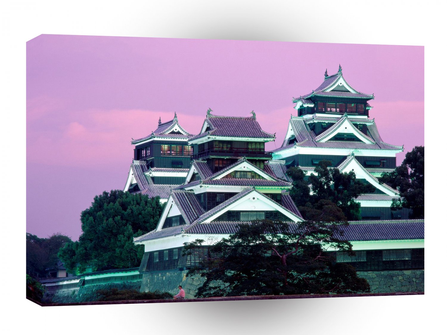 Japan Kumamoto Castle Kumamoto A1 Xlarge Canvas