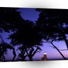 Las Vegas Mark Abbott Memorial Santa Cruz California A1 Xlarge Canvas