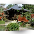 Las Vegas Seiryoji Temple Kyoto Japan A1 Xlarge Canvas
