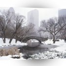New York Central Park In Winter A1 Xlarge Canvas