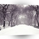 New York Statuary Walk Central Park A1 Xlarge Canvas