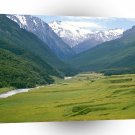 New Zealand Cattle Flats Dart River A1 Xlarge Canvas