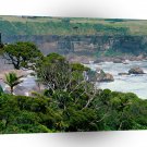 New Zealand Misty Waters A1 Xlarge Canvas