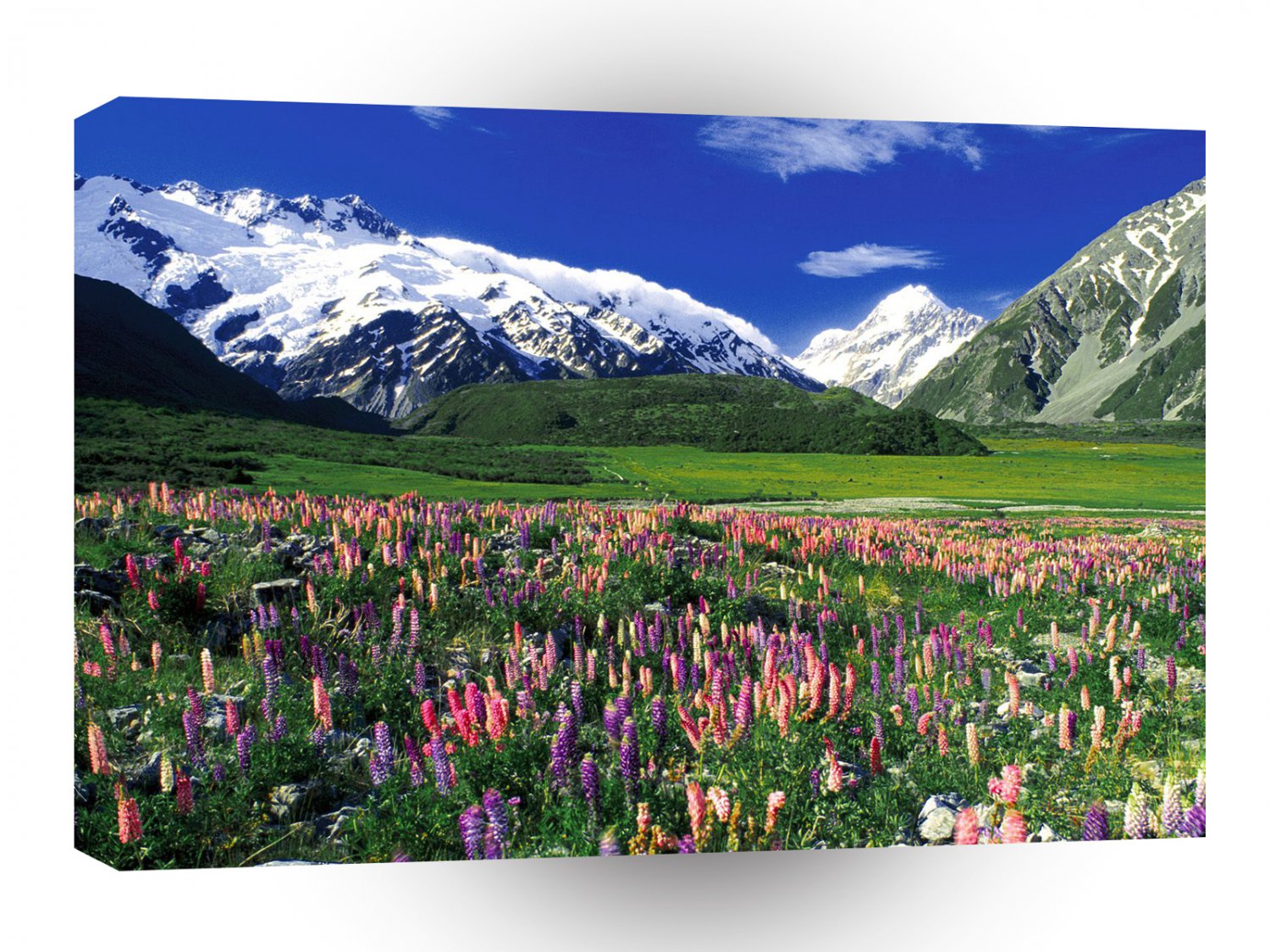 New Zealand Spring Meadow Mount Cook A1 Xlarge Canvas
