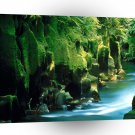 New Zealand Te Whaiti Nui A Toi Canyon Whirinaki Forest A1 Xlarge Canvas