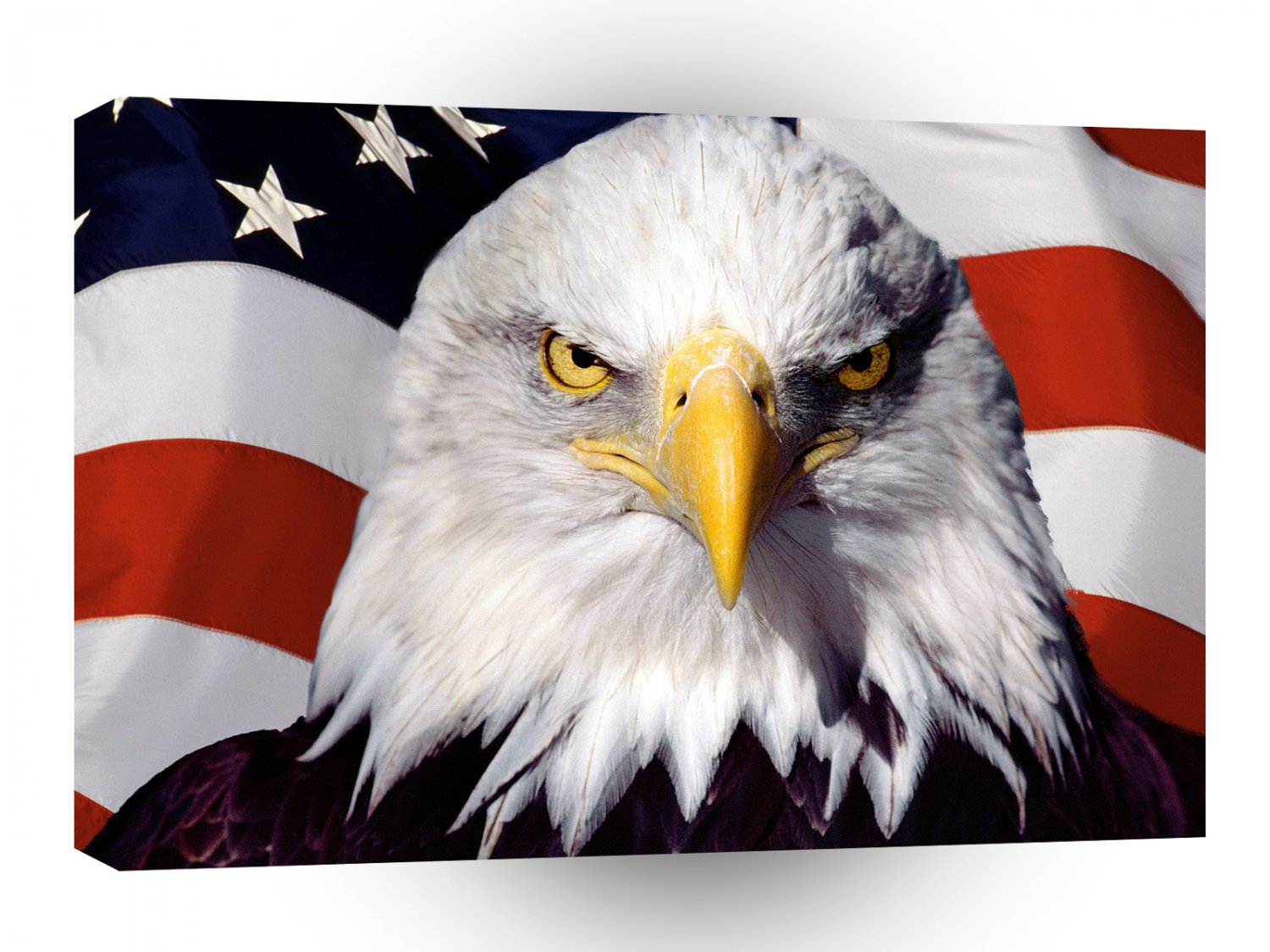Patriotic American Bald Eagle Patriot A1 Xlarge Canvas