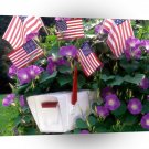 Patriotic Showing Spirit A1 Xlarge Canvas