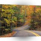 Roads Autumn Colors Road A1 Xlarge Canvas