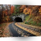 Roads Blue Ridge Parkway Pisgah National Forest Carolina A1 Xlarge Canvas