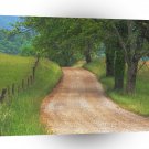 Roads Country Cove Great Smoky Mountains Tennessee A1 Xlarge Canvas