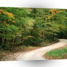 Roads Country Road In Autumn Nashville Indiana A1 Xlarge Canvas