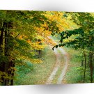 Roads Forest Trail A1 Xlarge Canvas