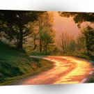 Roads Golden Road France A1 Xlarge Canvas