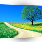 Roads Spring Road A1 Xlarge Canvas