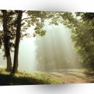 Roads Sunbeams Percy Warner Park Tennessee A1 Xlarge Canvas
