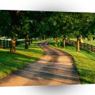 Roads Tree Lined Drive On Horse Farm Kentucky A1 Xlarge Canvas
