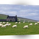 Scotland Grampian Farm Near Rhynie A1 Xlarge Canvas