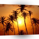 South America Palm Paradise Jericoacoara Brazil A1 Xlarge Canvas