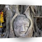 Thailand Buddha Face Wat Mahathat Ayutthaya A1 Xlarge Canvas