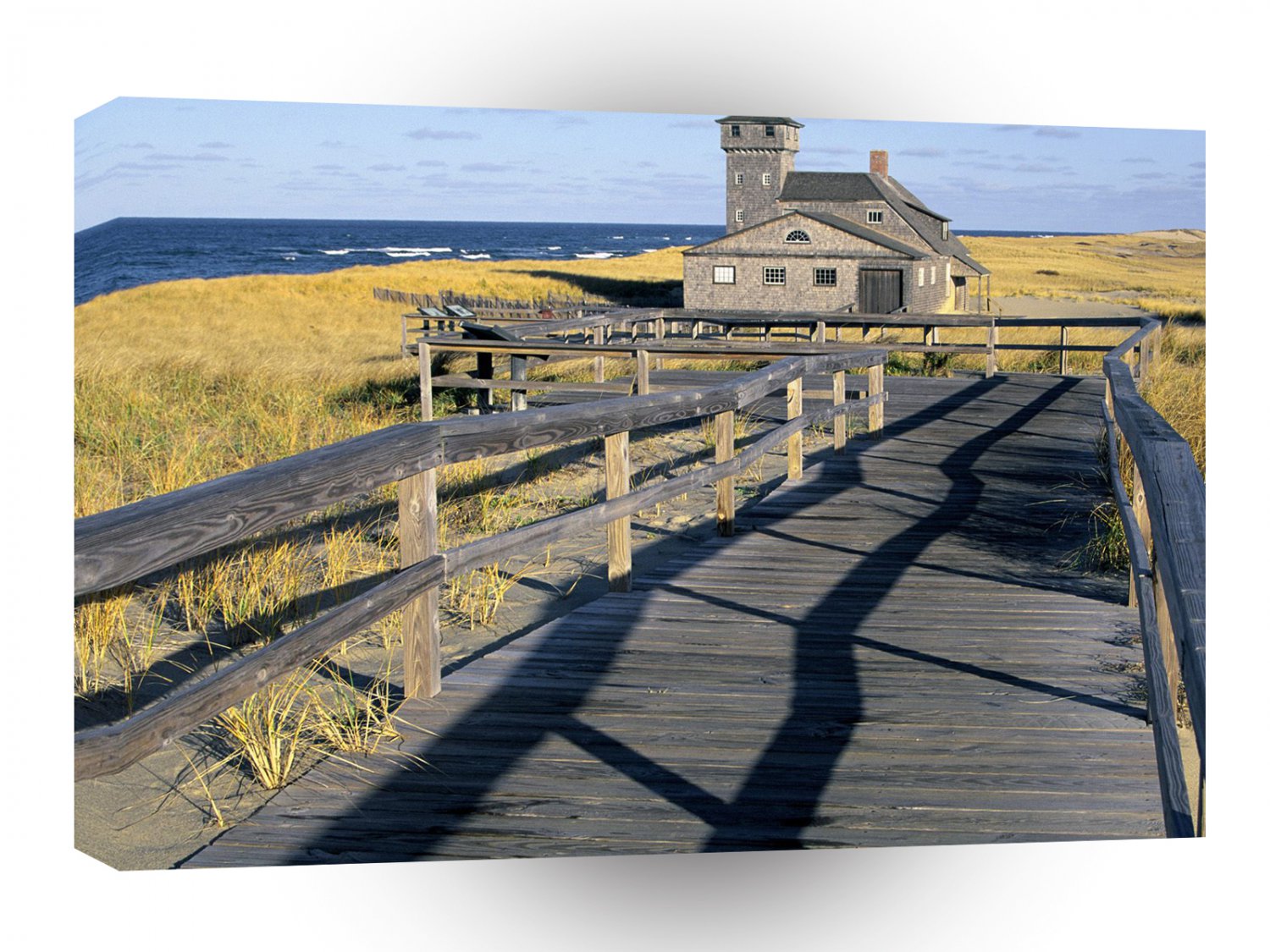 United States Cape Cod National Seashore Massachusetts A1 Xlarge Canvas