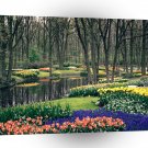 United States Keukenhof Gardens Lisse The Netherlands A1 Xlarge Canvas