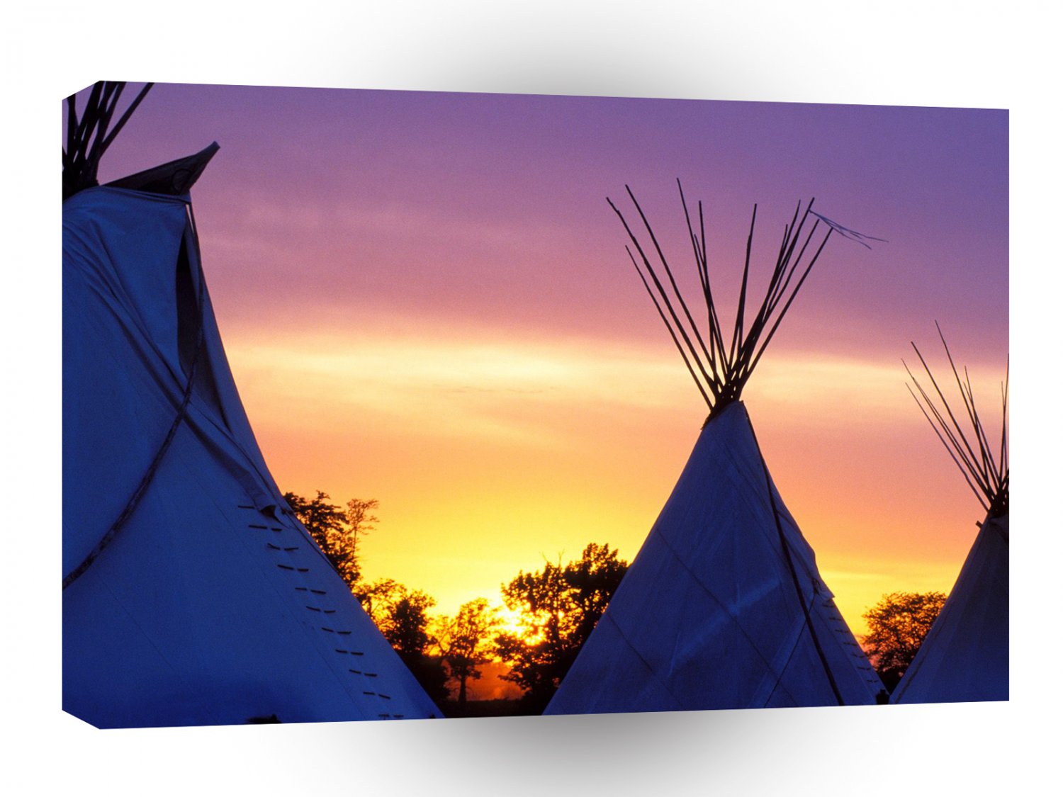United States Native Pride Illinois A1 Xlarge Canvas