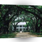 United States Southern Rosedown St Francisville Louisiana A1 Xlarge Canvas