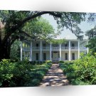 United States Wesley Mansion Eden State Gardens Florida A1 Xlarge Canvas