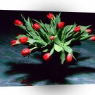 Valentines Day Bouquet Of Tulips A1 Xlarge Canvas