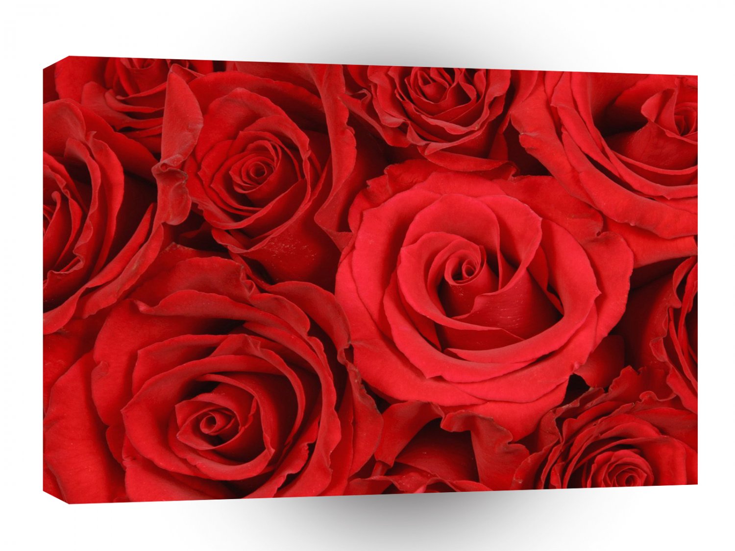 Valentines Day Budding Romance A1 Xlarge Canvas